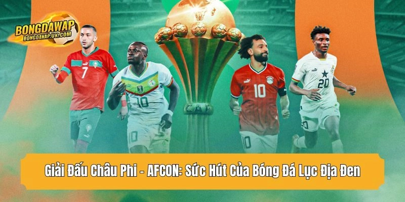 giải đấu châu phi