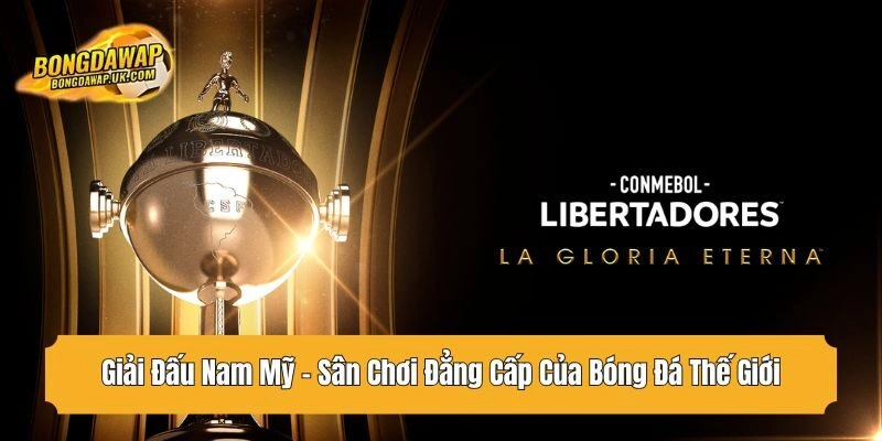 giải đấu nam mỹ