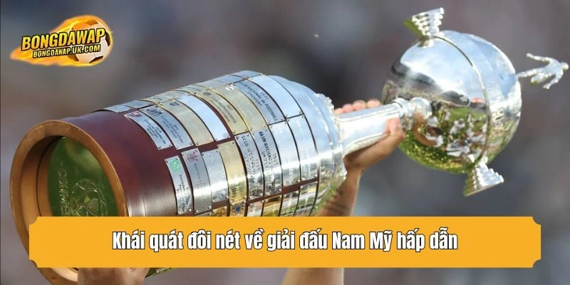 Khái quát đôi nét về giải đấu Nam Mỹ hấp dẫn