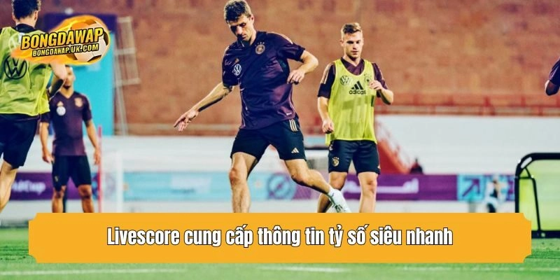 Livescore cung cấp thông tin tỷ số siêu nhanh