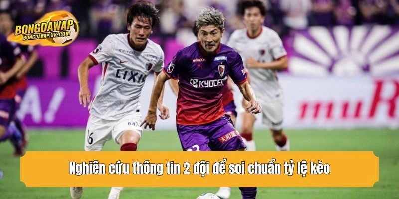 Nghiên cứu thông tin 2 đội để soi chuẩn tỷ lệ kèo