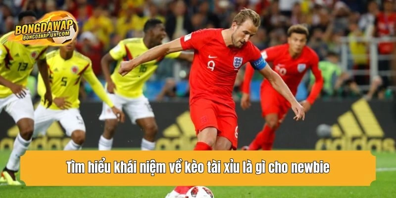 Tìm hiểu khái niệm về kèo tài xỉu là gì cho newbie