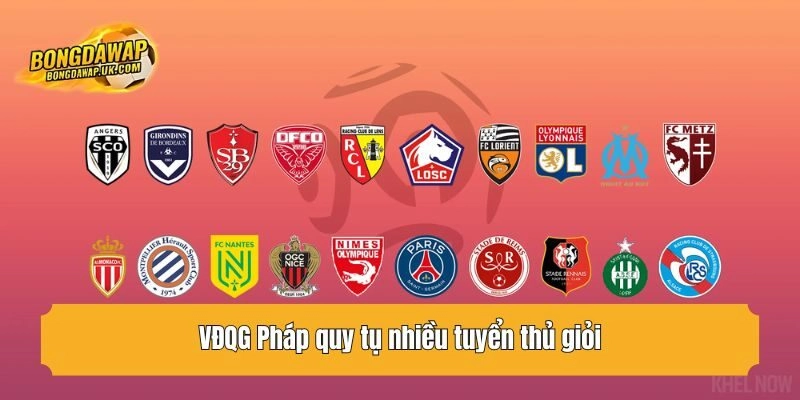 VĐQG Pháp quy tụ nhiều tuyển thủ giỏi