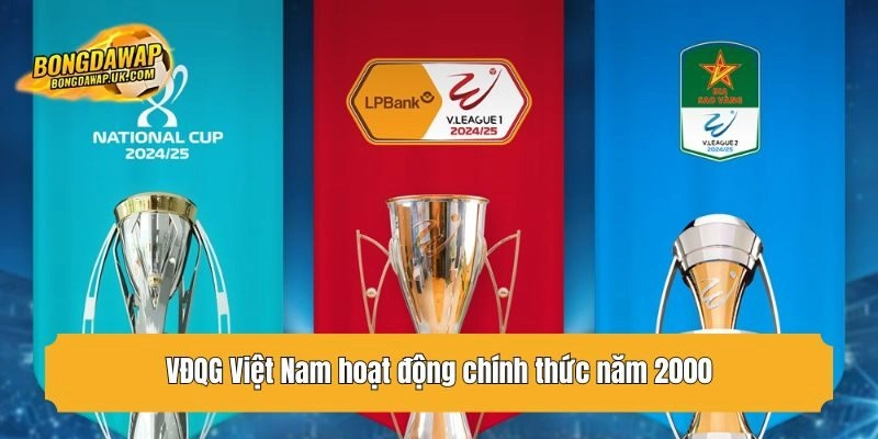 VĐQG Việt Nam hoạt động chính thức năm 2000