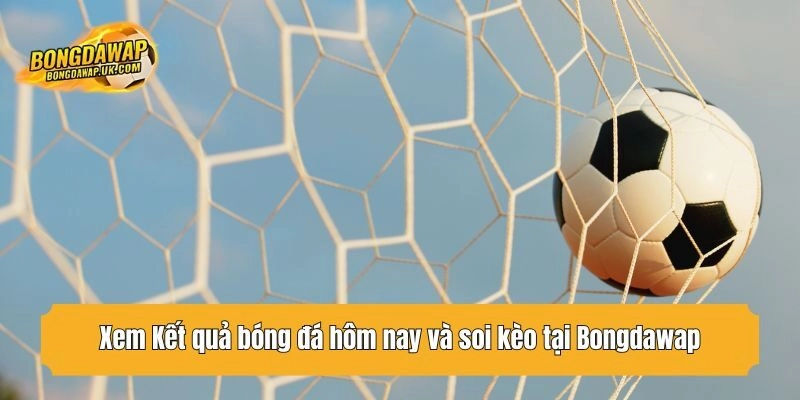 Xem Kết quả bóng đá hôm nay và soi kèo tại Bongdawap